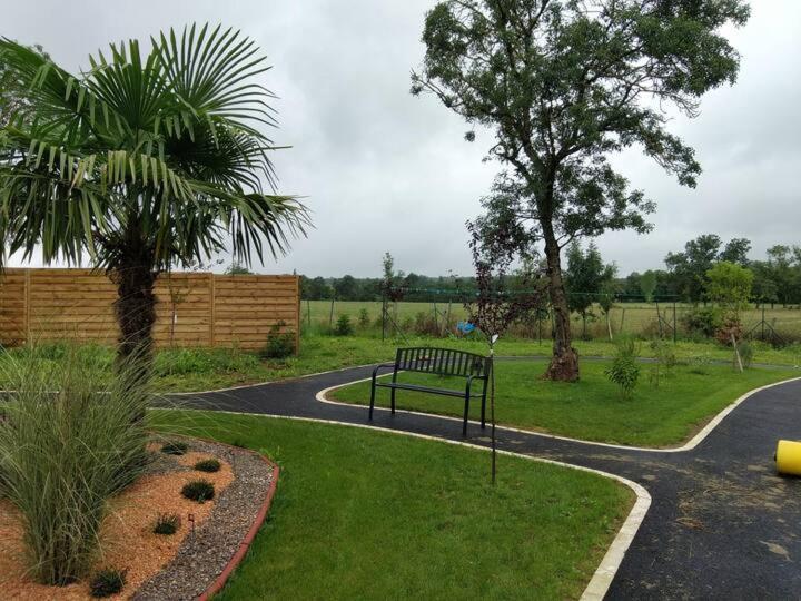 Studio Du Daudou Septfonds Ngoại thất bức ảnh
